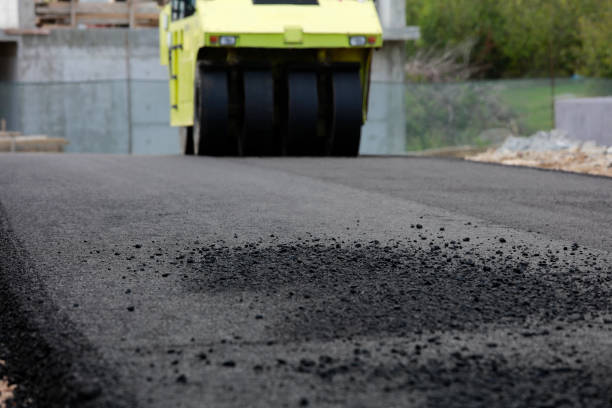 Best Best Driveway Pavers  in Elko New Market, MN