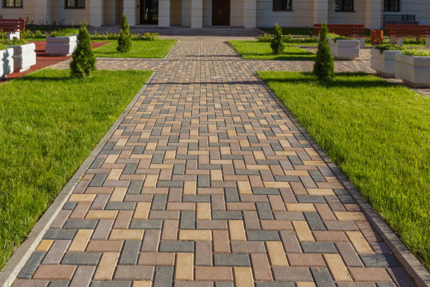 Best Custom Driveway Pavers  in Elko New Market, MN